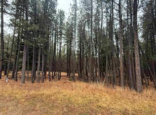 75 San Juan Dr, Angel Fire, NM 87710