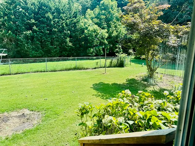 1291 Church Rd — Photo 13