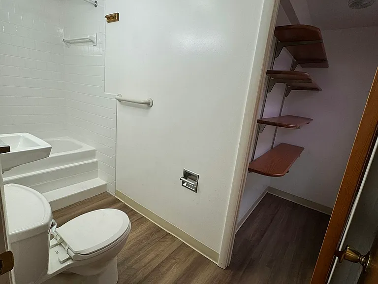 Bathroom view with storage/closet space