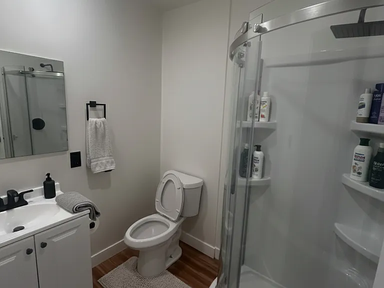 Second Bathroom - AI Generated Furnishings