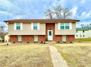 100 Swan Dr, Park Hills, MO 63601