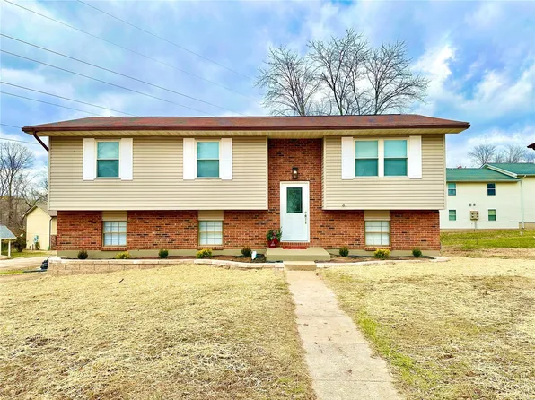 100 Swan Dr, Park Hills, MO 63601