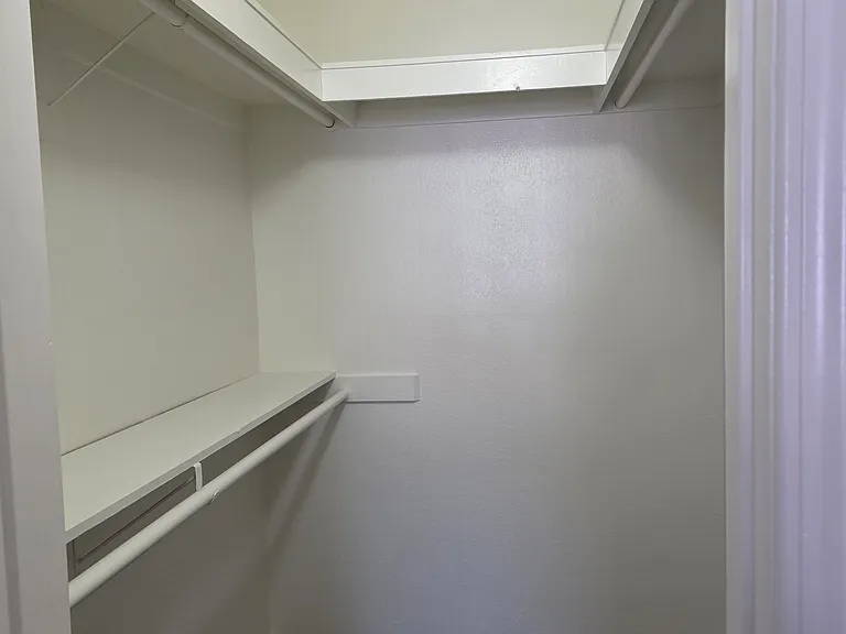 Walk-in Closet in Master Bedroom