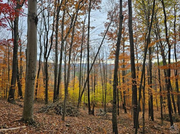 189 Covenant Cir, East Nassau, NY 12062