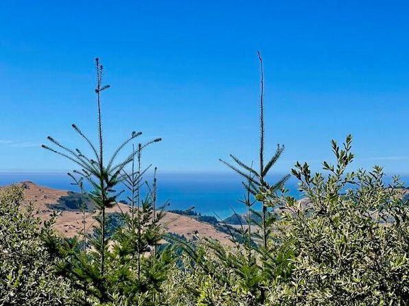 2054 Lighthouse Rd, Petrolia, CA 95558