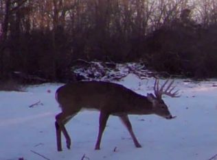 13943 N Auburn Ln, Bluford, IL 62814