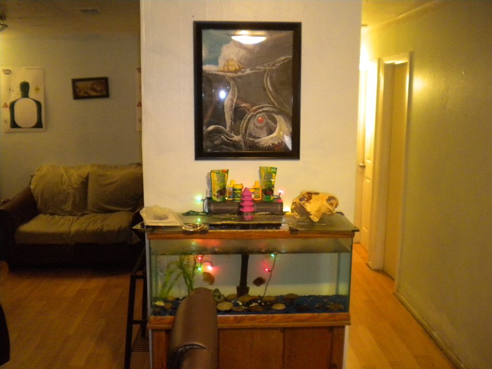 Living Room/Hall 