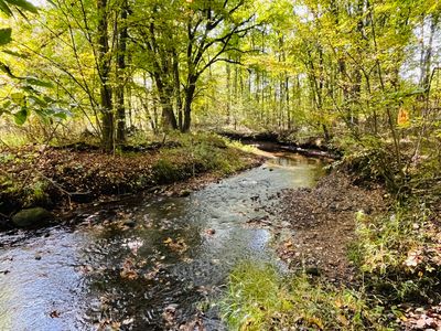 18303 Two Mile Rd, Morley, MI, 49336