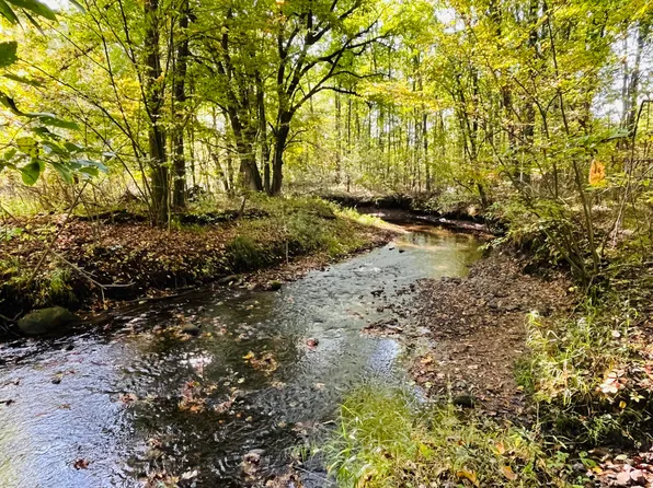 18303 Two Mile Rd, Morley, MI 49336