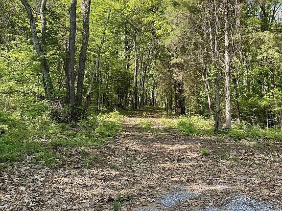 3rd image of 0 Carroll Rd
