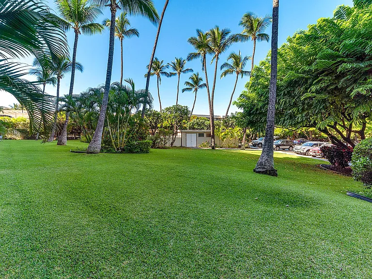 S Kihei Rd — Photo 25