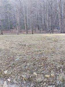 0 Miller Cove Rd, Catawba, VA, 24070