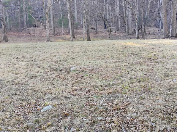 0 Miller Cove Rd #8, Catawba, VA 24070