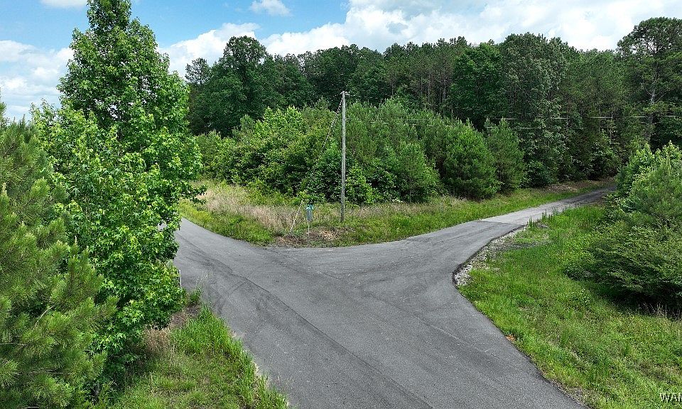 2nd image of 0 Skeet Davidson Rd