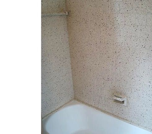 3rd image of 3010 Kenwood Ave