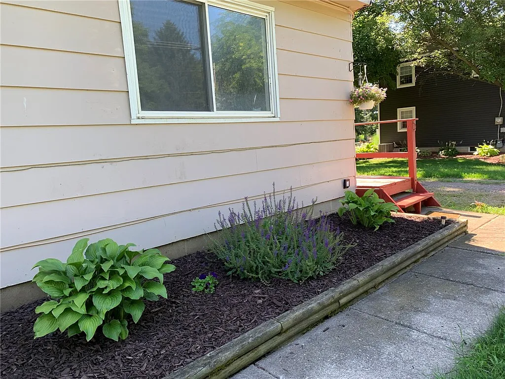 3 bed, 1.5 bath, 1000 sqft, $1,850 — Photo 2
