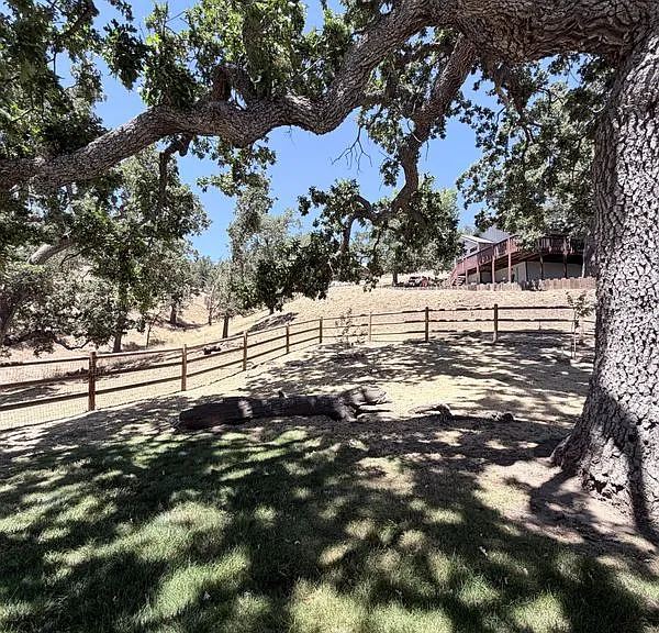 29861 Greenwater Dr — Photo 38