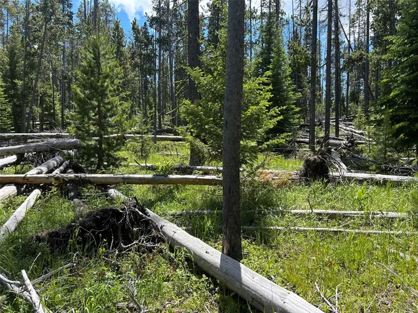 Nhn Spencer White Sulphur Spgs, White Sulphur Springs, MT 59645