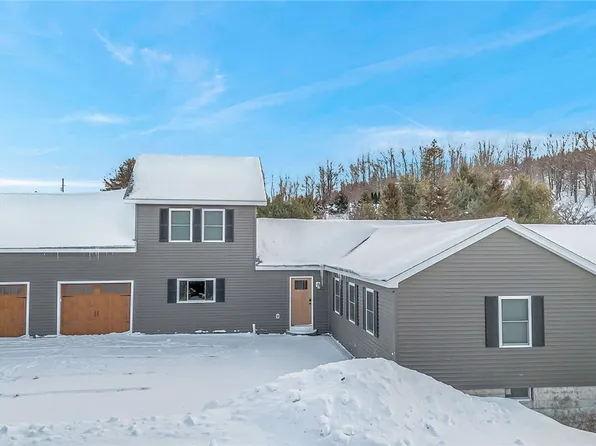 8425 Rohr Hill Rd, East Otto, NY 14729