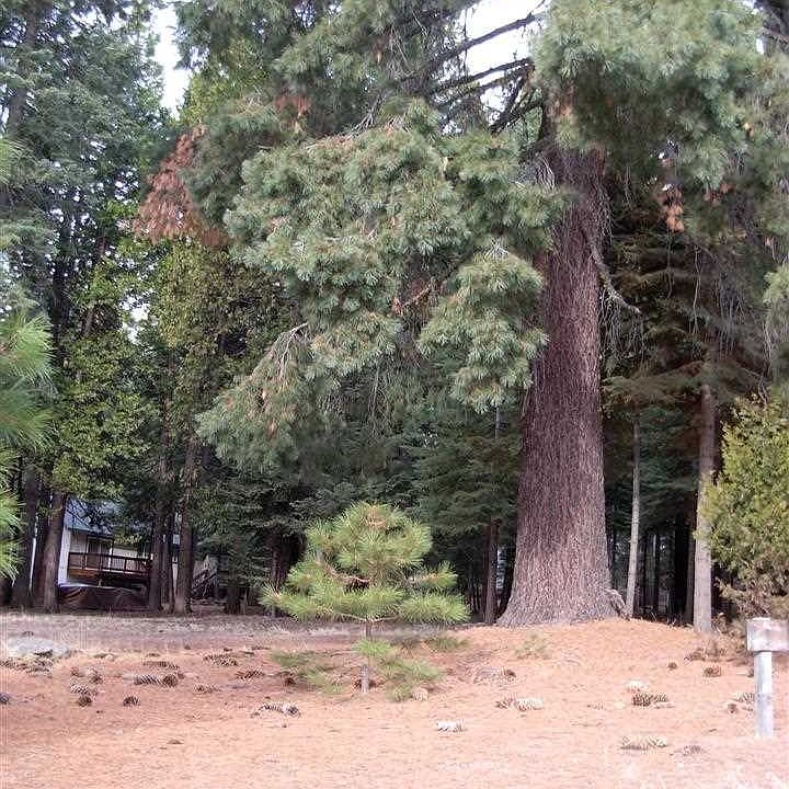 2nd image of 611 Clifford Dr