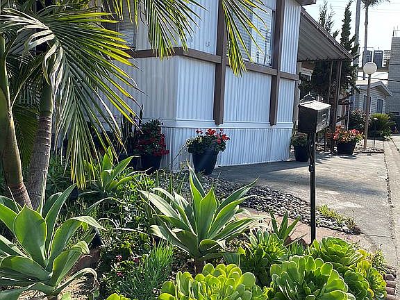 Drought-tolerant landscaping