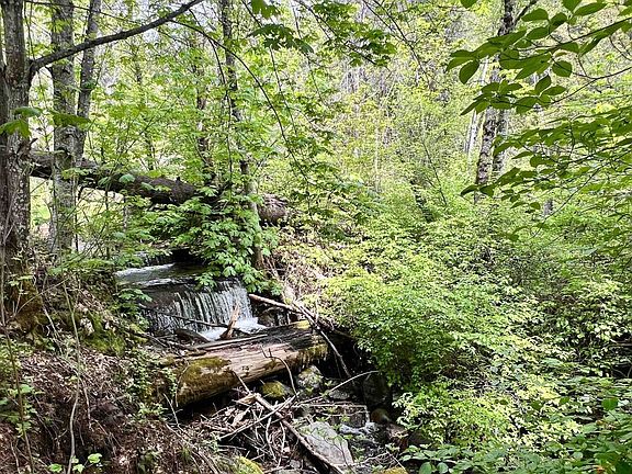 3rd image of 791 Rancheria Creek Rd