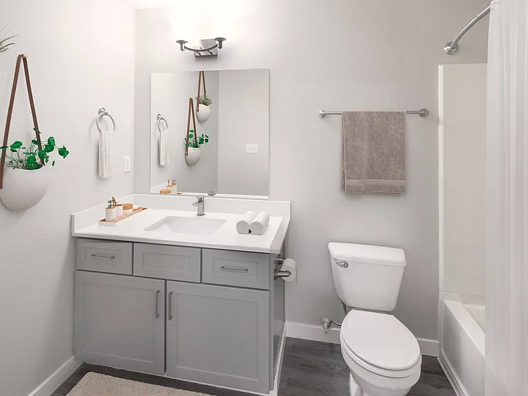 Avana Evergreen — Photo 12
