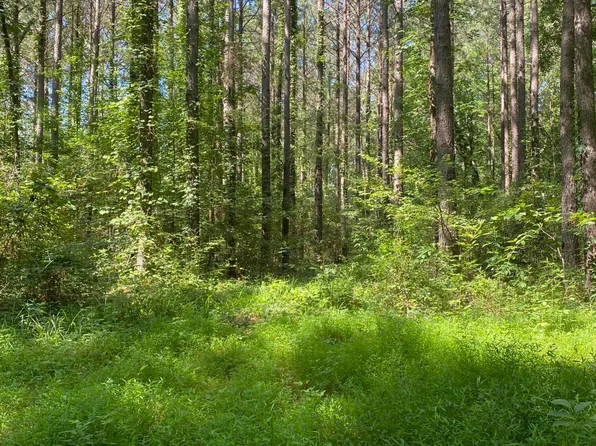 0 Franks Rd, Coldwater, MS 38618