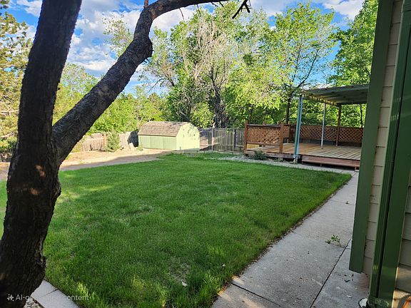 Private Backyard from the Peach Tree