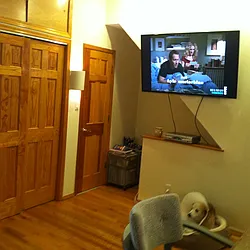 Rented by Dolores Buonocore, LREB