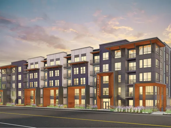 Bellingham Plan, 25 Degrees