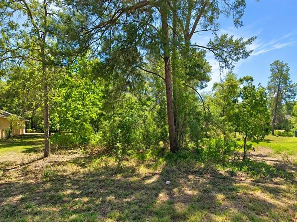 10 DRACAENA COURT LOT 5, HOMOSASSA, FL 34446