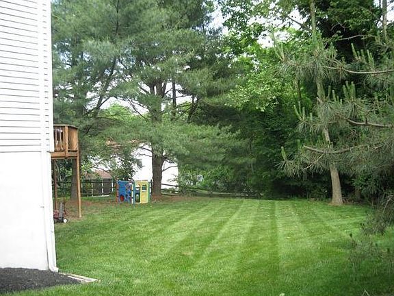 Backyard looking towards woods