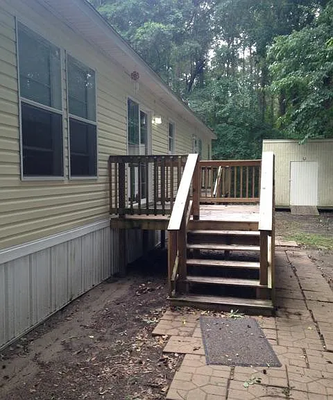 back view