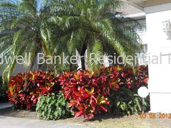 Mature Landscaping