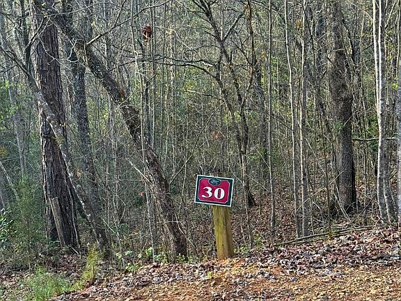 3rd image of 30 Brasstown