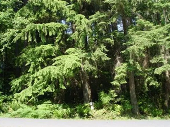 6 Green Hill Rd, Bellingham, WA 98229