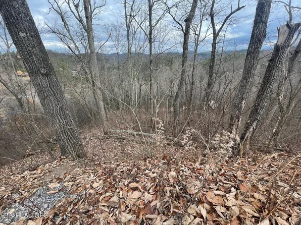 99 Dollys Dr, Sevierville, TN 37876