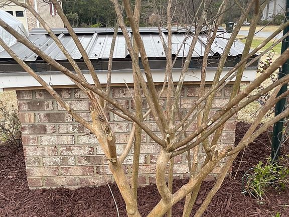 5th image of 501 Shelley Dr