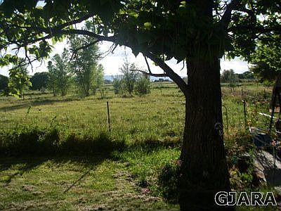 surrounding acreage