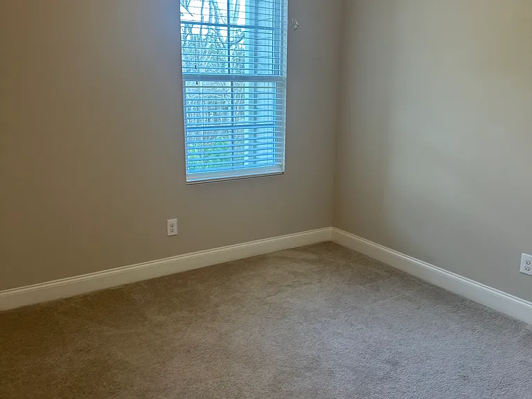 913 Townes Park St — Photo 20