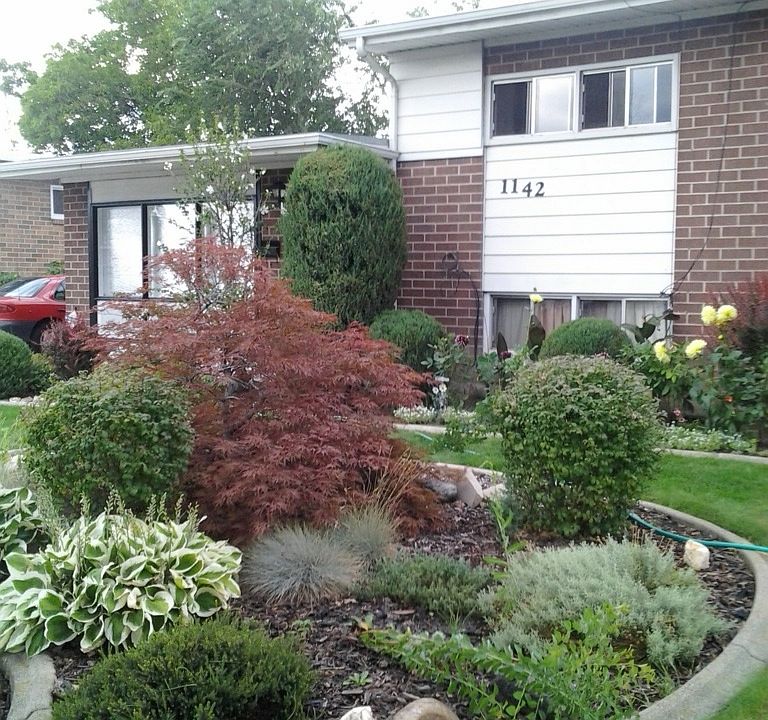 Beautifully landscaped yard