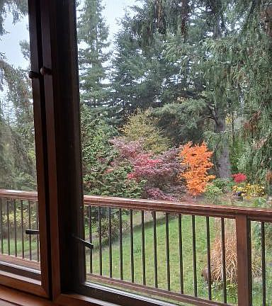 Main floor looking out window to the North