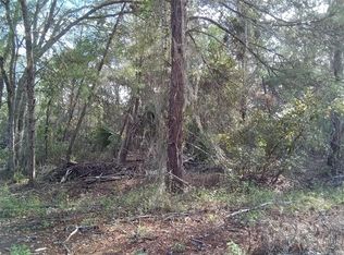 Fisher Trail Ter LOT 4, Ocklawaha, FL 32179