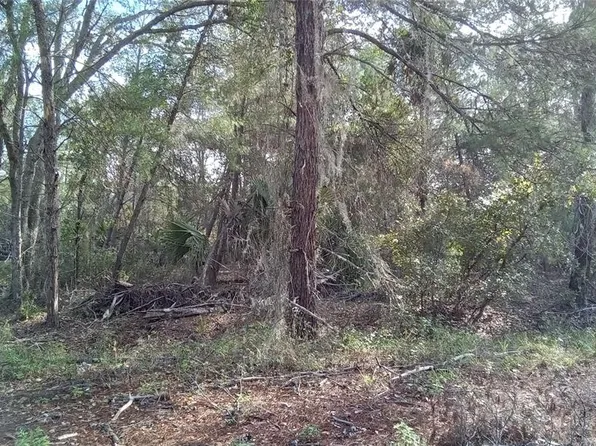 Fisher Trail Ter Lot 4, Ocklawaha, FL 32179