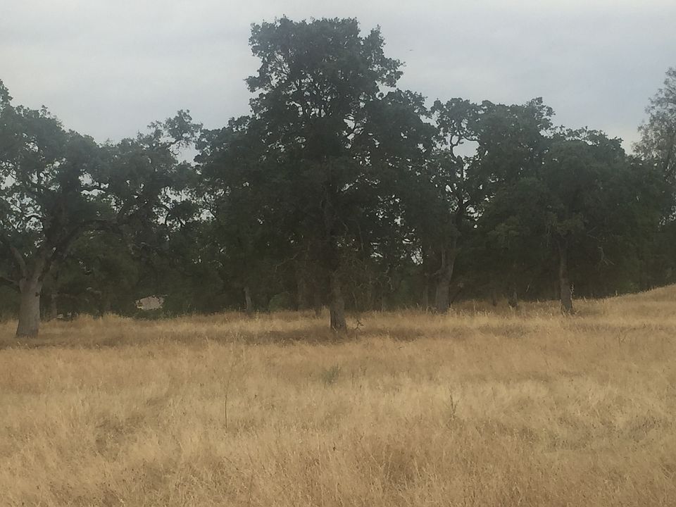 2nd image of 6706 Rutherford Canyon Rd