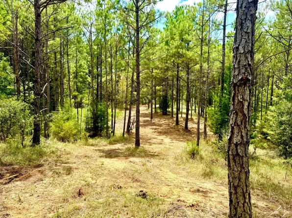 9009 Raymond Rd, Crystal Springs, MS 39059