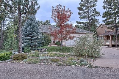 Treed lot for privacy