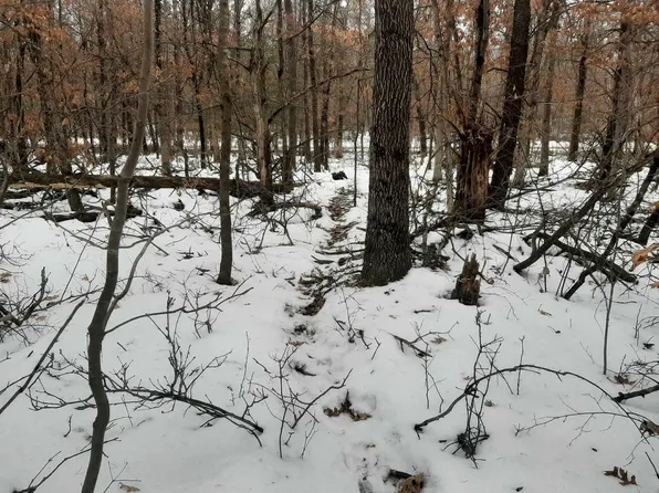 8.59+/- acres Lyndon Rd, Lyndon Station, WI 53944