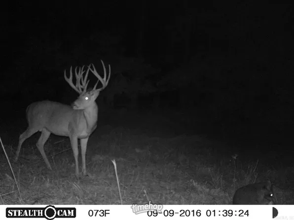 (undisclosed Address), Searcy, AR 72143